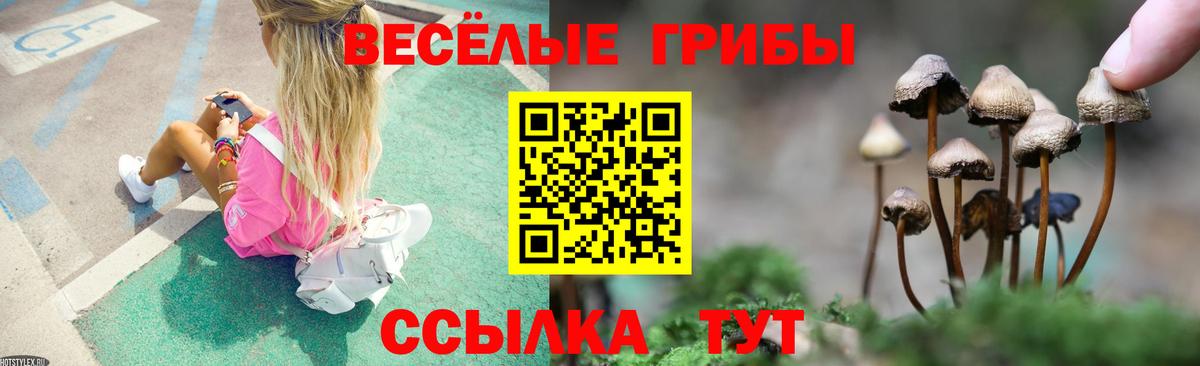 Галлюциногенные грибы GOLDEN TEACHER Алушта
